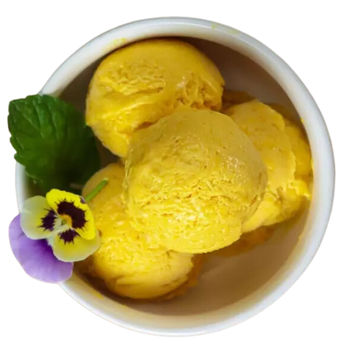 Vanilla Ice with Mango