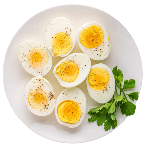 Boiled Egg